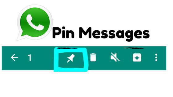 whatsapp pin messages