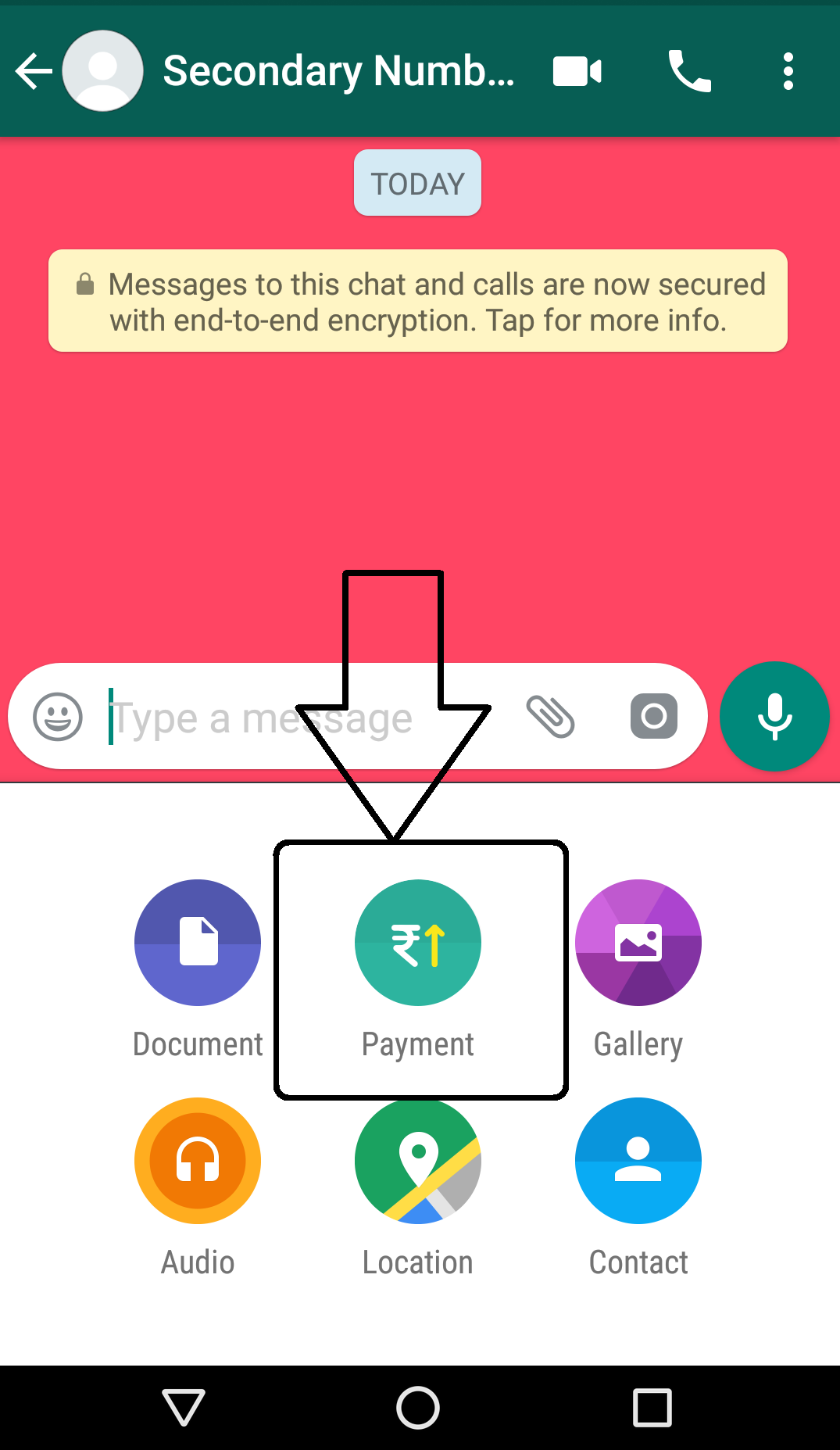 Whatsapp payments india